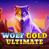 Bocoran RTP Slot Pragmatic Wolf Gold Ultimate